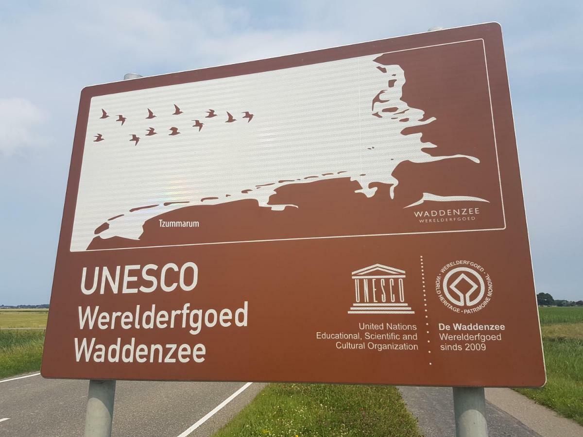 "Wattengebiet Entdeckungsreise" Tzummarum Dış mekan fotoğraf